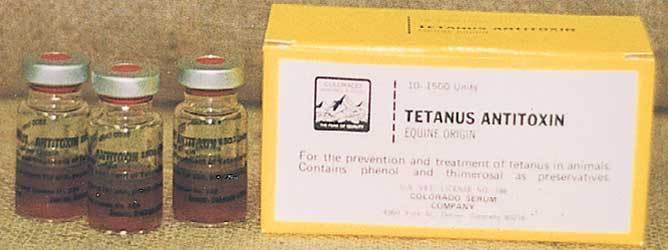 treatment for tetanus or lock jaw
